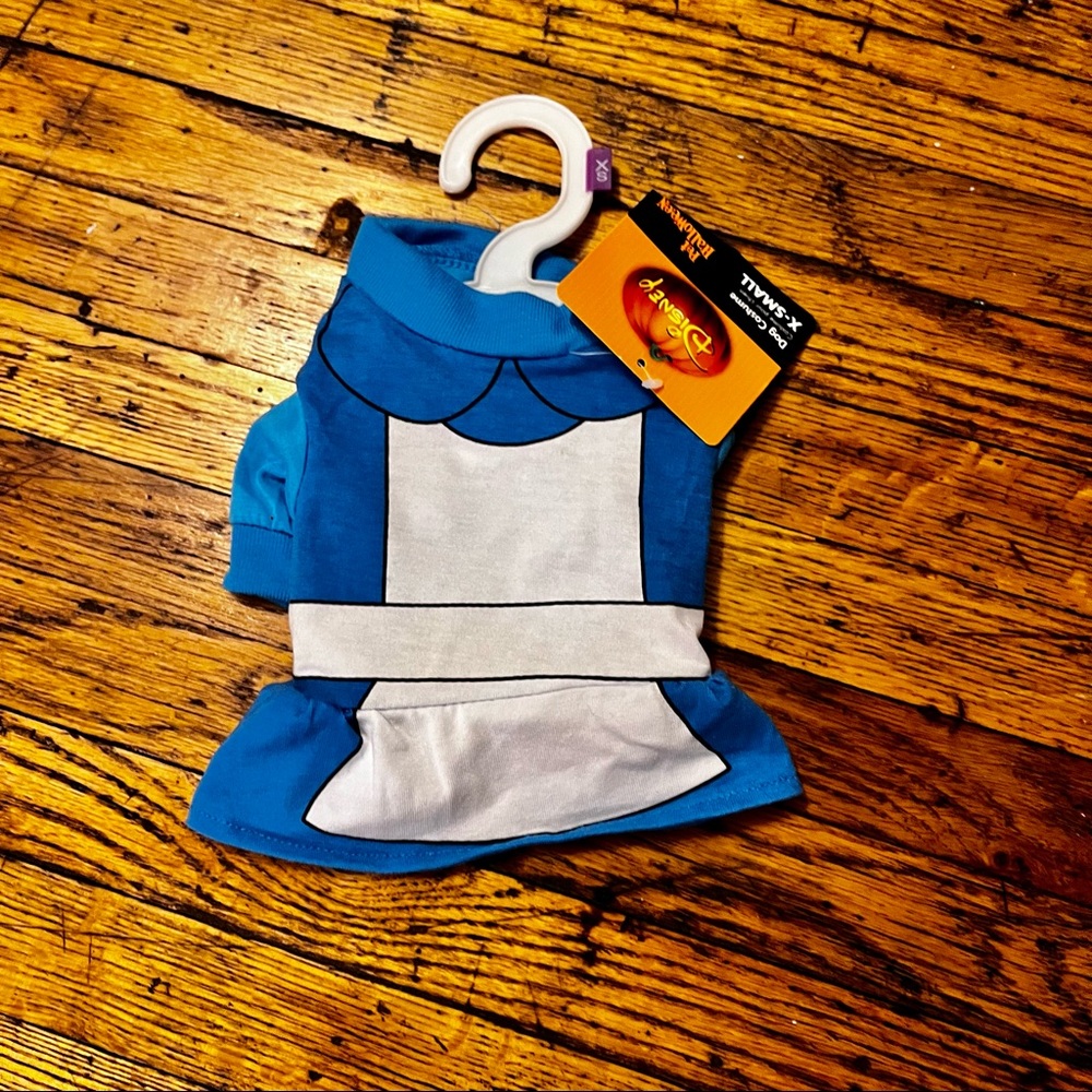 Disney Pet Costume